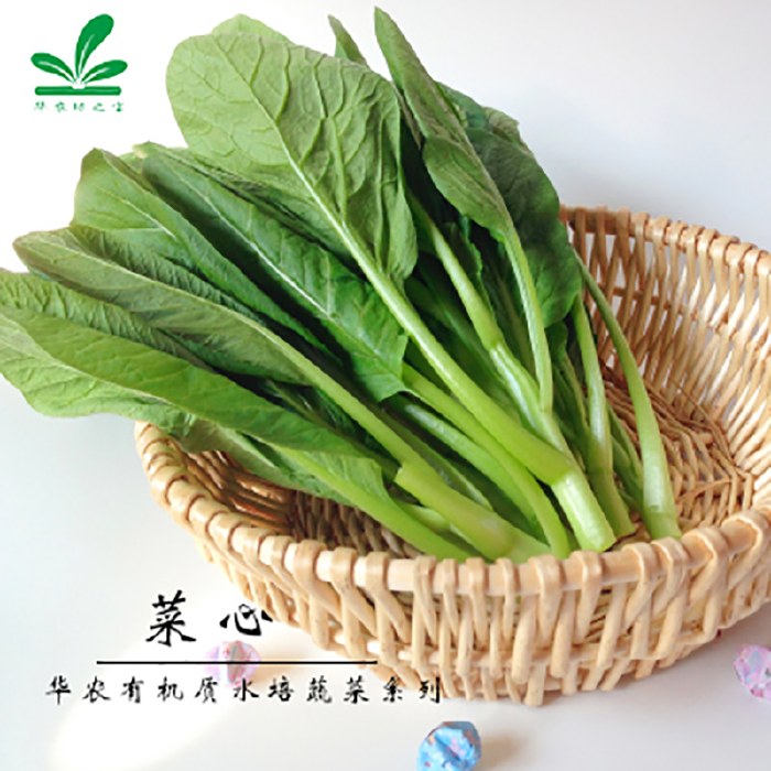 【广东省内顺丰包邮】华农水培菜心 300g/包 4包装