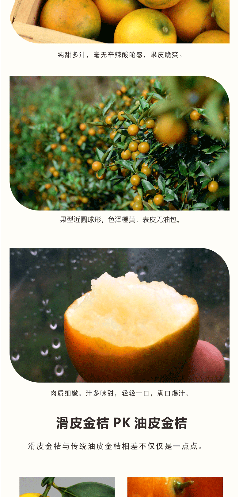 【生鲜美味】广西融安滑皮金桔4斤礼盒装