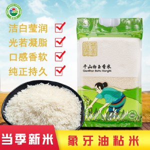 千山白玉香米 鼠牙油粘 长粒籼米 真空装 5KG (10斤)