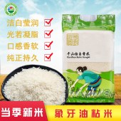千山白玉香米 鼠牙油粘 长粒籼米 真空装 5KG (10斤)