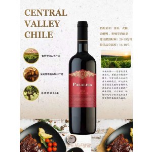 智利帕拉雷亚干红葡萄酒 750ml 双支装