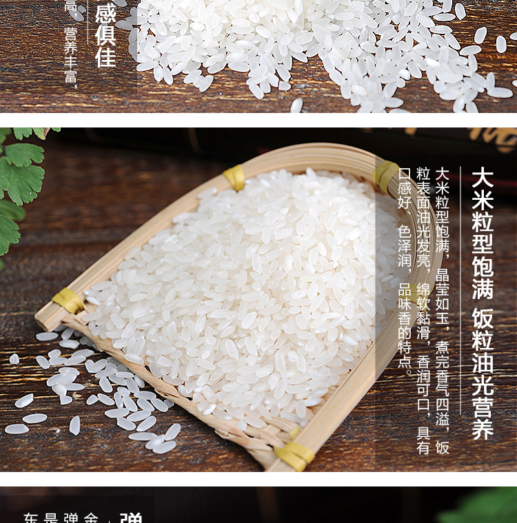 金百合优选正宗东北大米珍珠米香米5kg