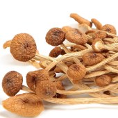 川珍  黑木耳香菇茶树菇组合 福聚满堂礼盒1500g/盒   南北干货 炒菜凉拌 山珍菌菇煲汤食材