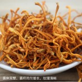 川珍  虫草花120g  干菌子干货虫草花蛹虫草金虫草煲汤