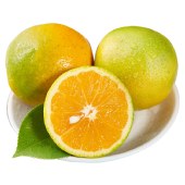 新鲜夏橙 5斤/9斤当季时令水果现摘手剥橙子整箱大果多汁包邮