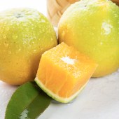 新鲜夏橙 5斤/9斤当季时令水果现摘手剥橙子整箱大果多汁包邮