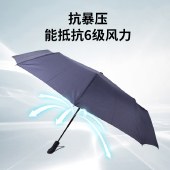 麦琪克10骨自动商务伞 一键开关防风防水折叠晴雨伞8002